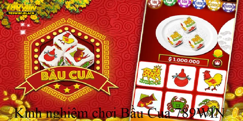 Hãy ghi nhớ những điều trên để chơi cá cược tại 789WIN luôn thắng nhé