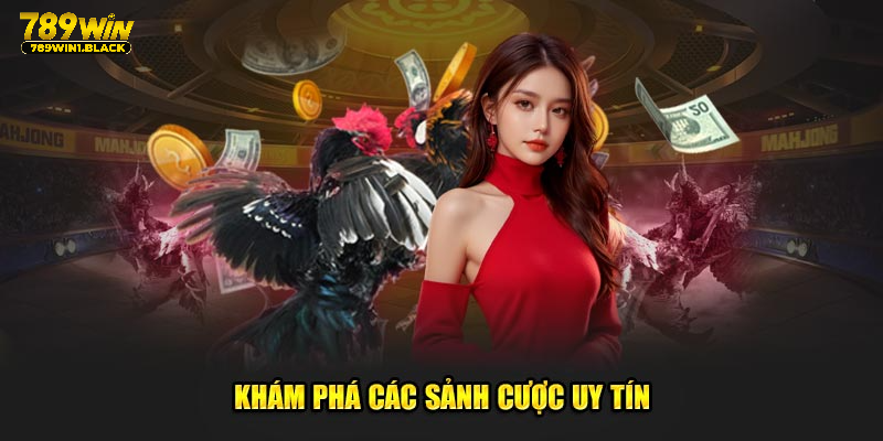 Khám phá các sảnh cược uy tín